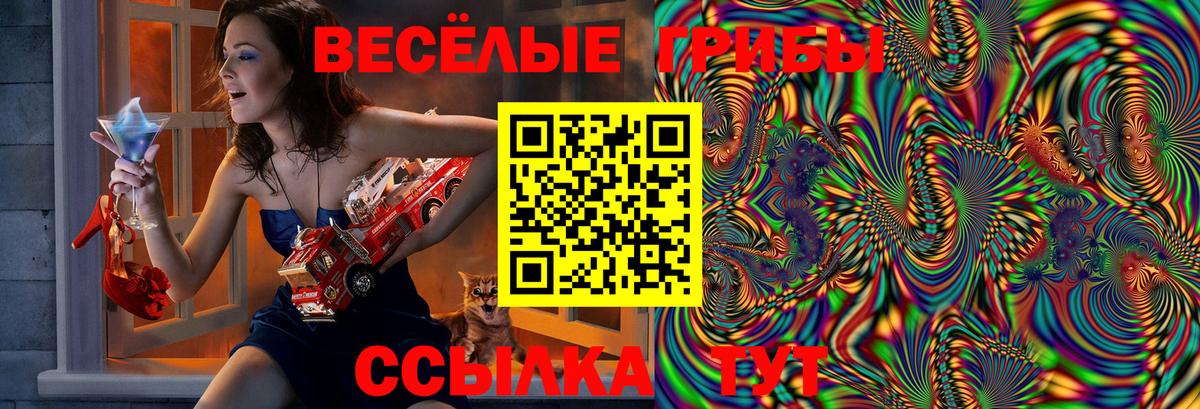 Большой Камень  Галлюциногенные грибы мицелий  Вход с VPN 